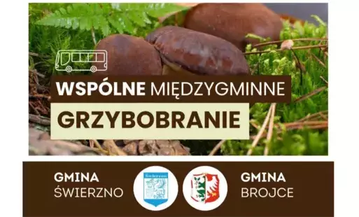 Zdjęcie artykułu z dnia 23-09-2025